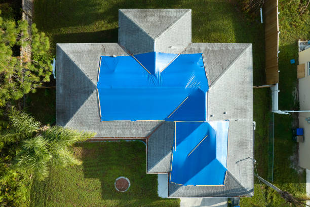 Best Metal Roofing Installation  in Cass City, MI